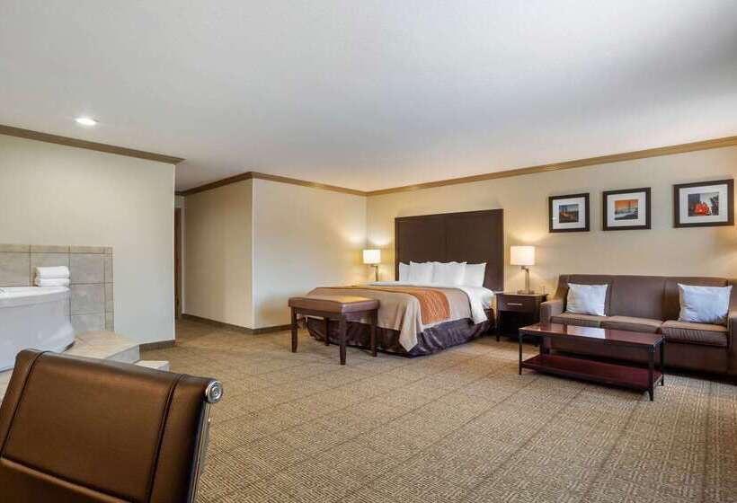 هتل Comfort Inn Castro Valley