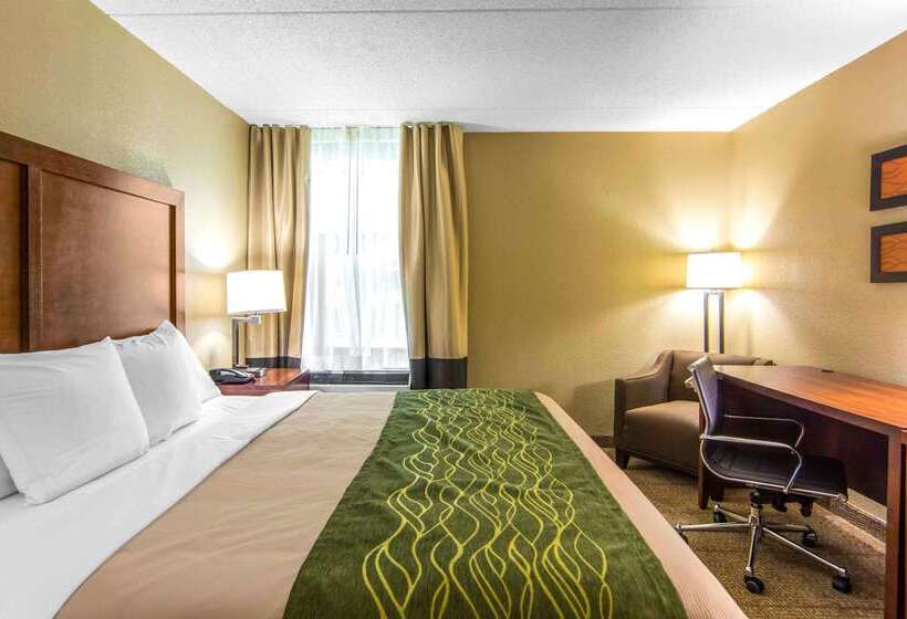 هتل Comfort Inn Newport News/williamsburg East