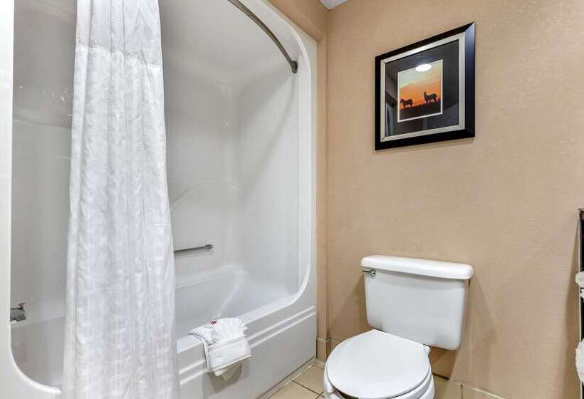 فندق Comfort Inn & Suites Asheboro East
