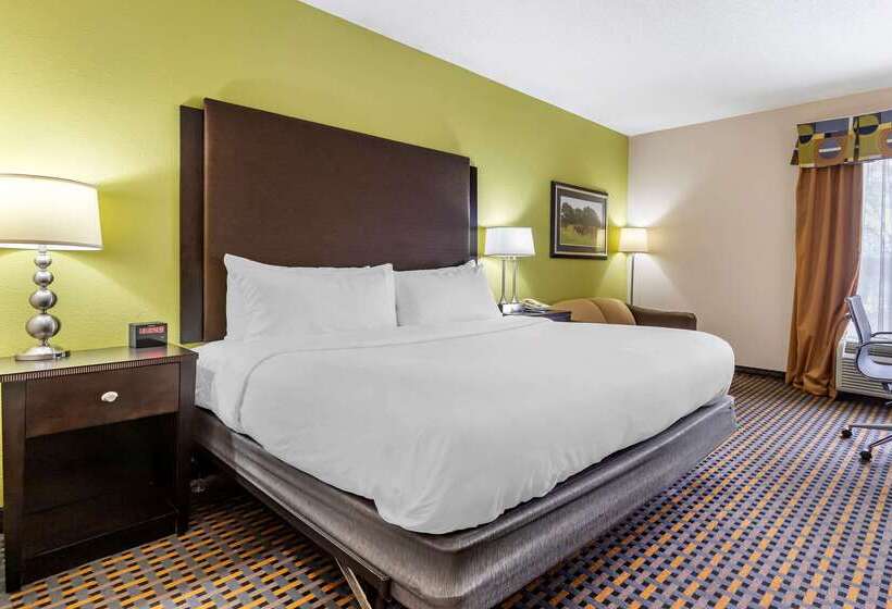 Отель Comfort Inn & Suites