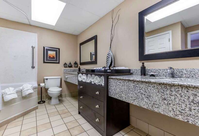 Отель Comfort Inn & Suites Asheboro East