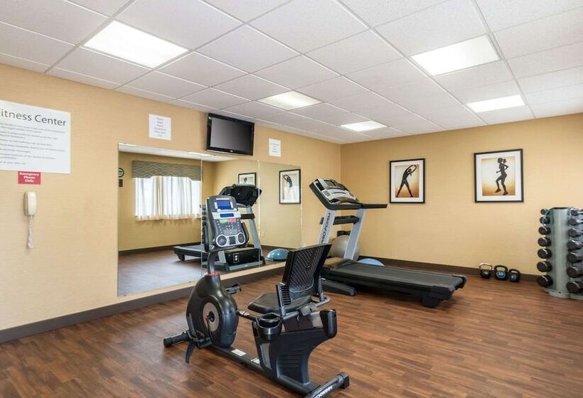 酒店 Comfort Inn & Suites  Hannibal