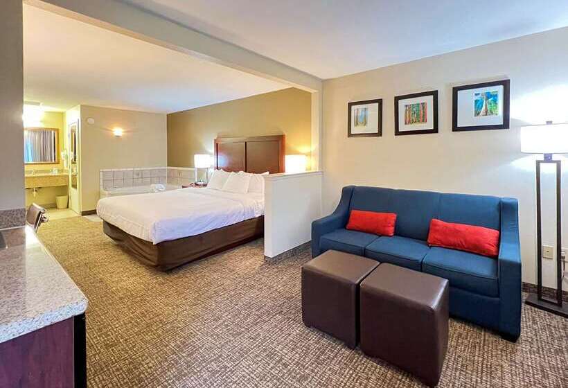 هتل Comfort Inn & Suites Sequoia Kings Canyon