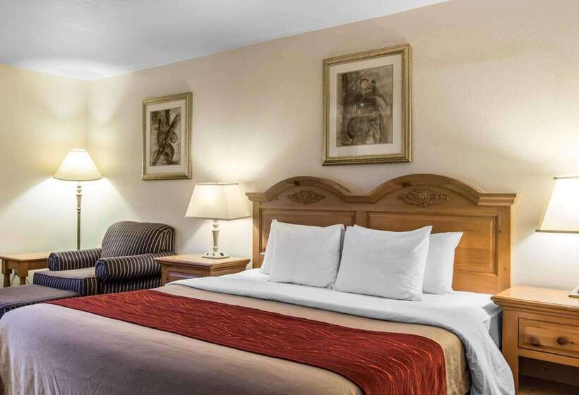 هتل Comfort Inn & Suites Sequoia Kings Canyon