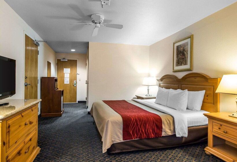 هتل Comfort Inn & Suites Sequoia Kings Canyon