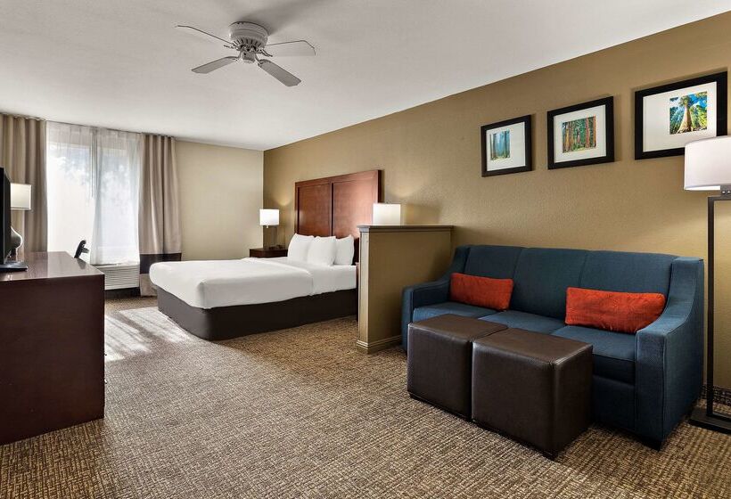 هتل Comfort Inn & Suites Sequoia Kings Canyon