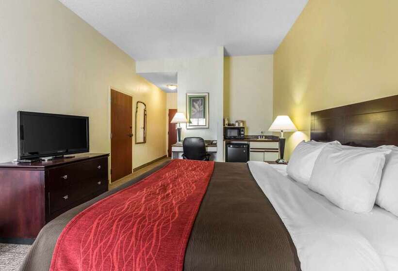 호텔 Comfort Inn & Suites