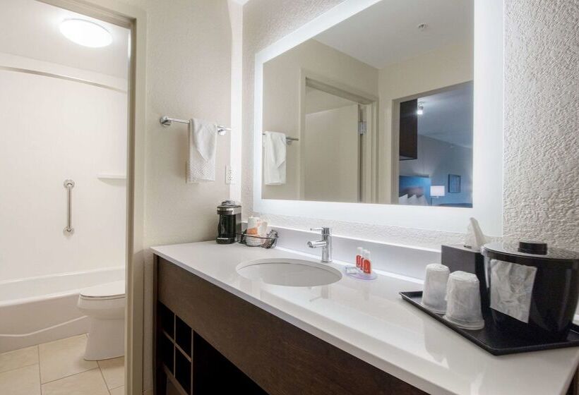 هتل Econo Lodge Inn & Suites Foleynorth Gulf Shores