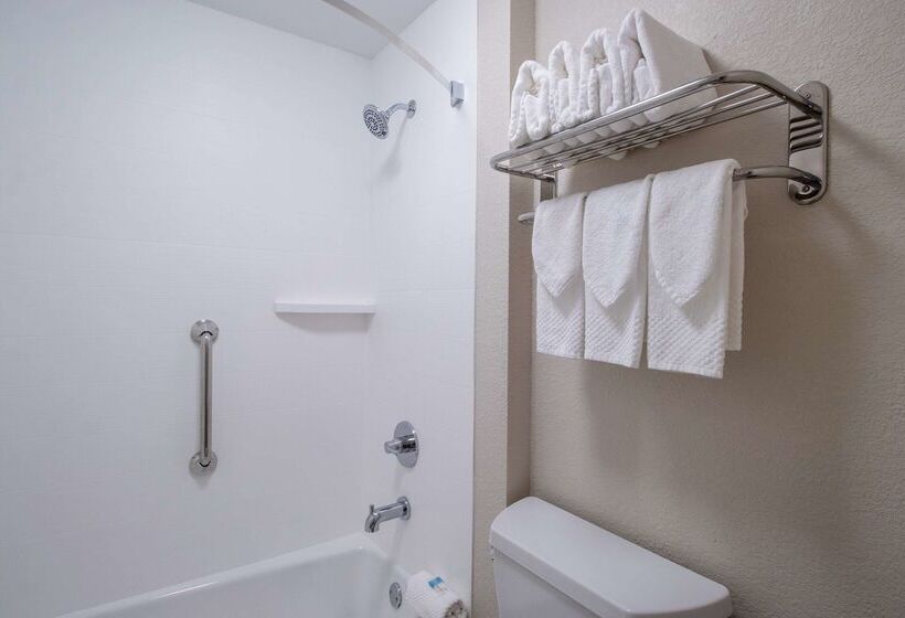 هتل Econo Lodge Inn & Suites Foleynorth Gulf Shores