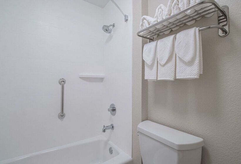 هتل Econo Lodge Inn & Suites Foleynorth Gulf Shores