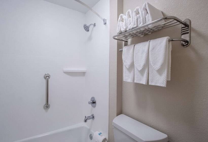 هتل Econo Lodge Inn & Suites Foleynorth Gulf Shores