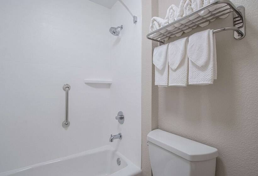 هتل Econo Lodge Inn & Suites Foleynorth Gulf Shores