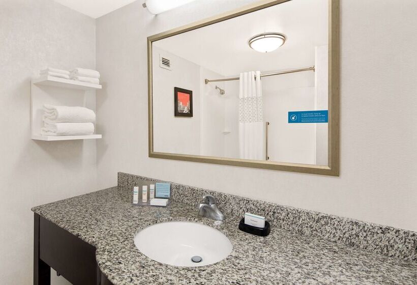هتل Hampton Inn Atlantageorgia Techdowntown