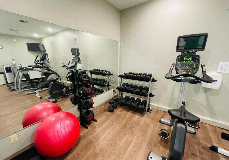 هتل Holiday Inn Express & Suites Sulphur   Lake Charles, An Ihg