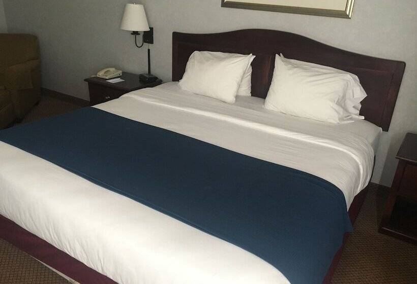 هتل Mountain Inn & Suites