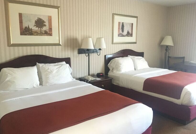 호텔 Mountain Inn & Suites