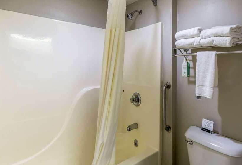 酒店 Quality Inn