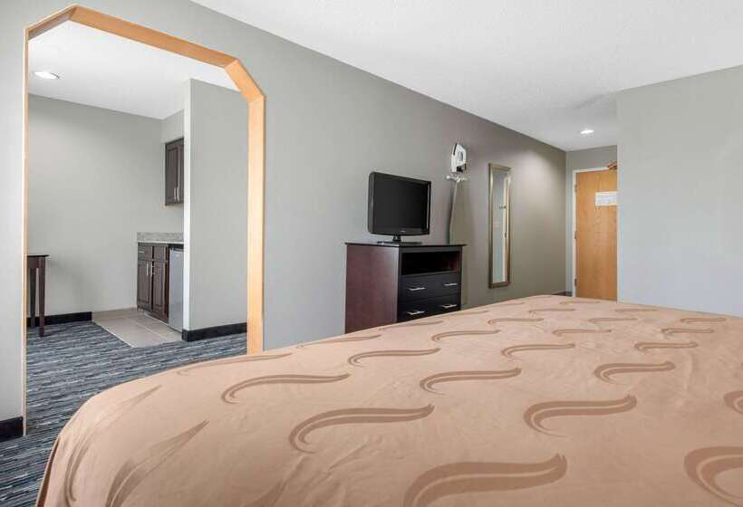 酒店 Quality Inn & Suites Brownsburg Indianapolis West