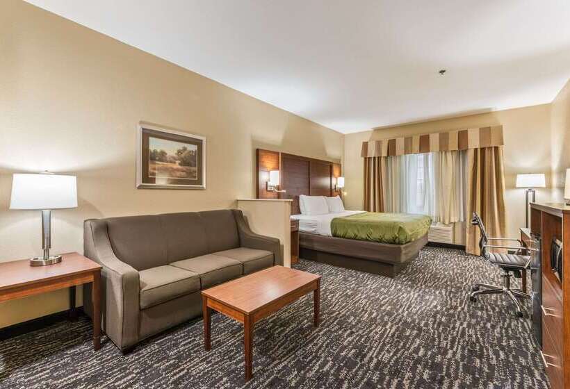 ホテル Quality Inn & Suites Hendersonville  Flat Rock