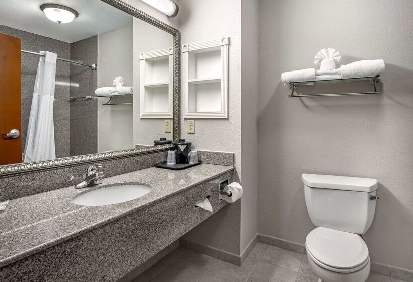 هتل Quality Inn & Suites