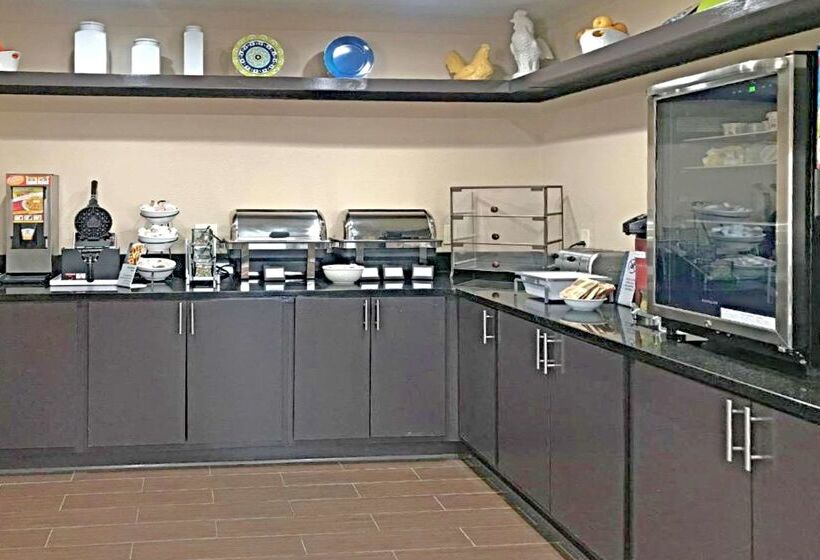 酒店 Rodeway Inn & Suites