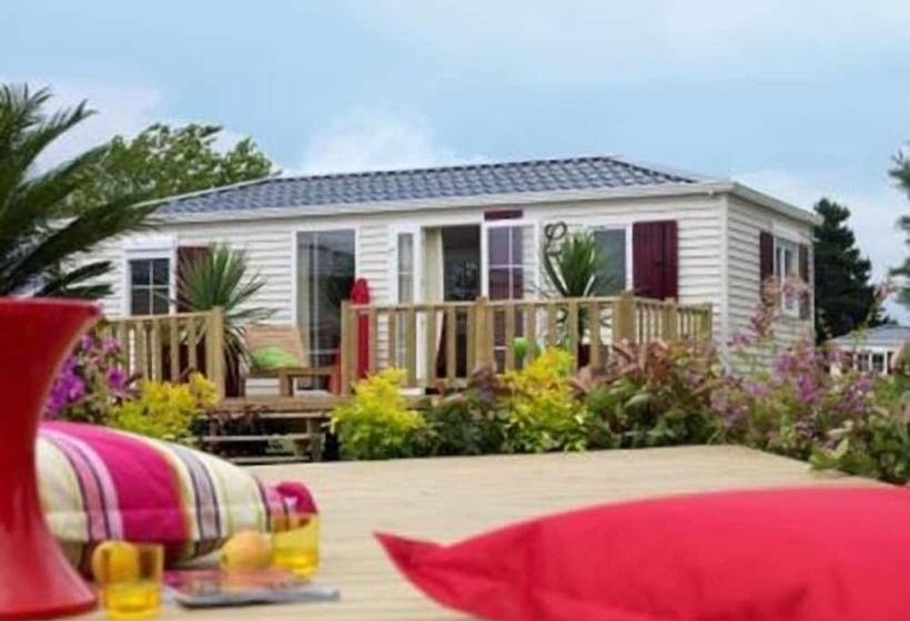 호텔 Campingplatz Jungferweiher