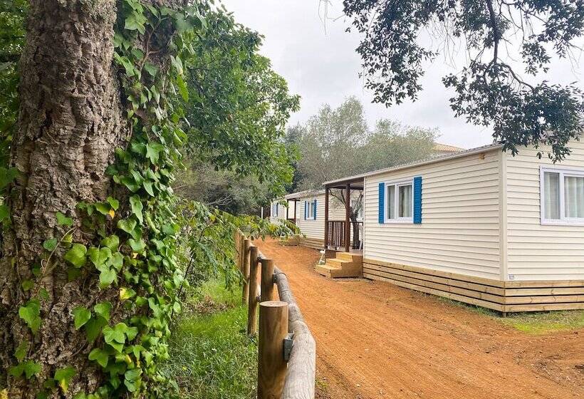 Отель Camping 3 Estrellas Costa Brava