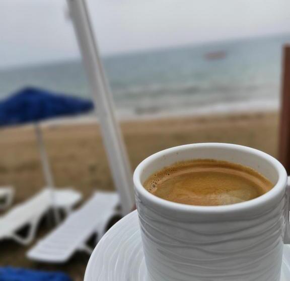 هتل Mimoza Beach