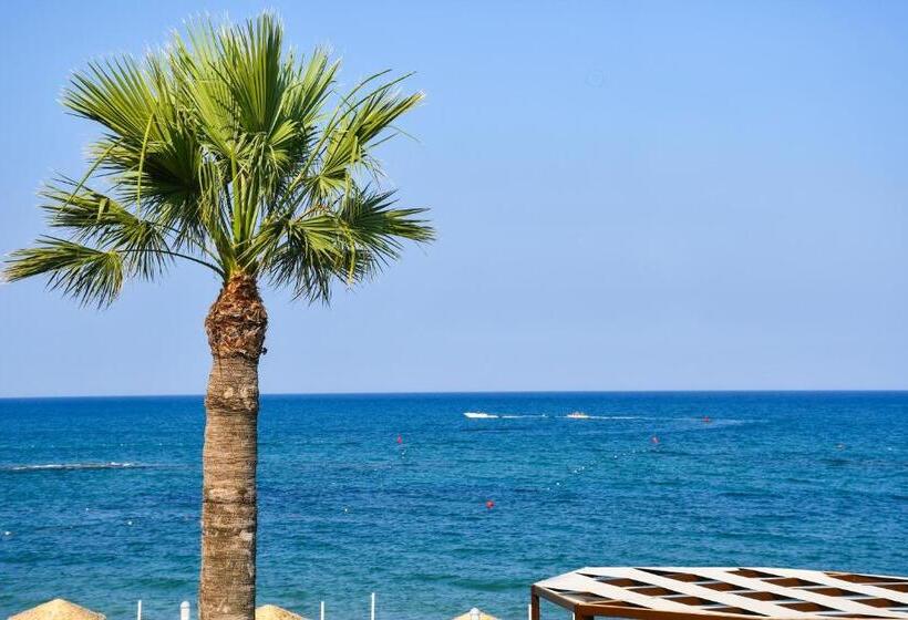 هتل Mimoza Beach