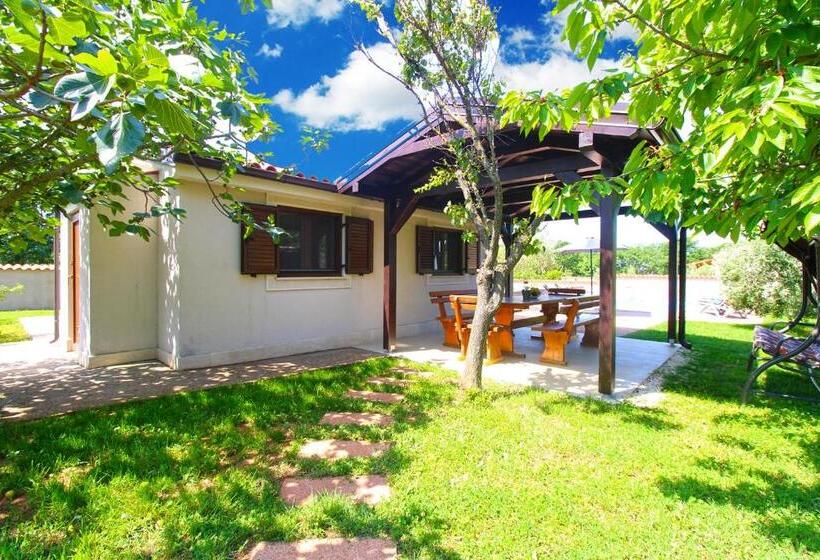 House Stella 1319