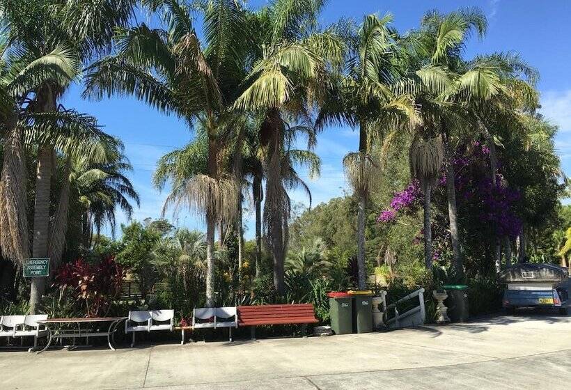 Palms Oasis Motel