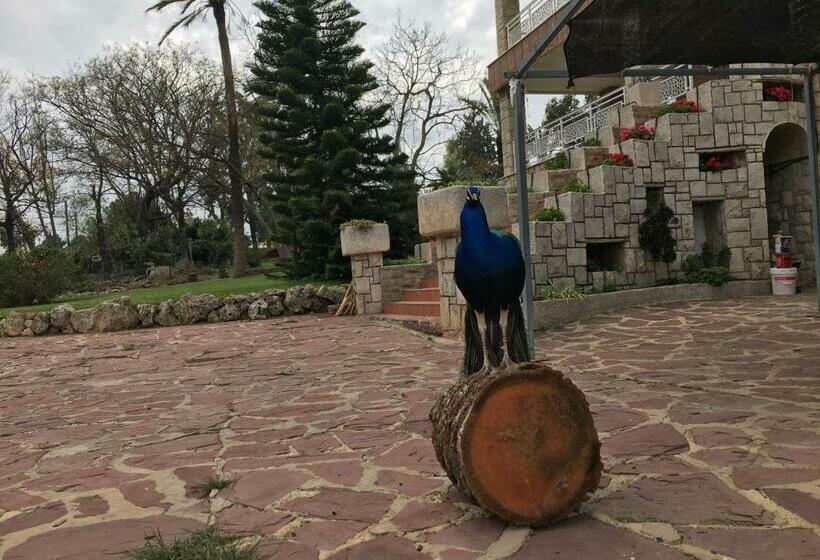 Villa Entrenaranjos
