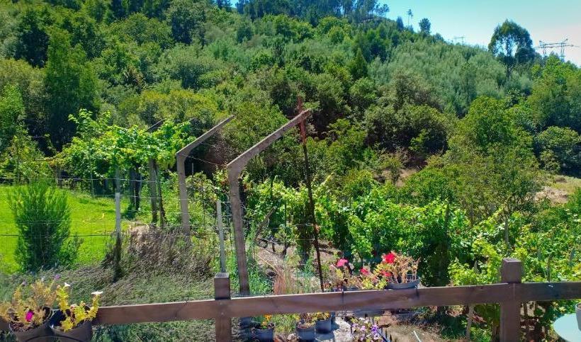 Casa Da Viña   Ribeira Sacra