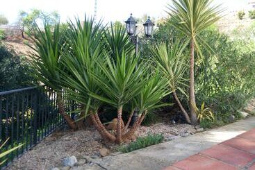 تختخواب و صبحانه Casa Colina