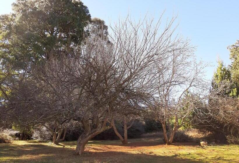 Dabchick Cottage