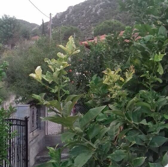 Maisonette Maria For Tranquility. Sykia Chalkidikis