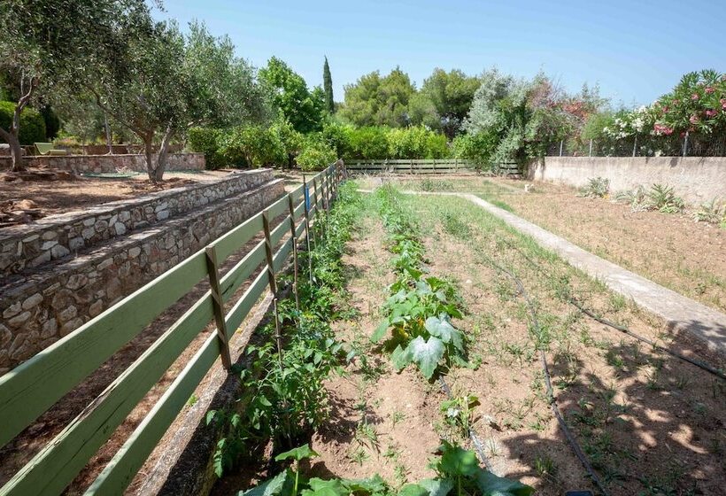 Beautiful Mini Eco Farmhouse