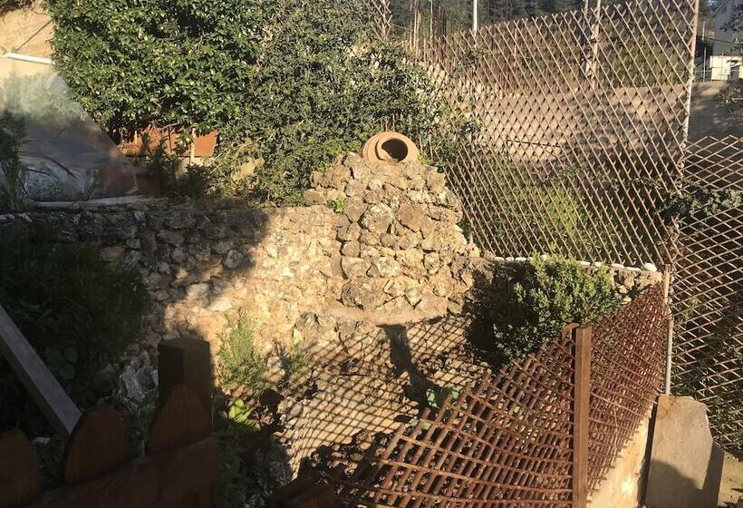 Mountain View Apartment