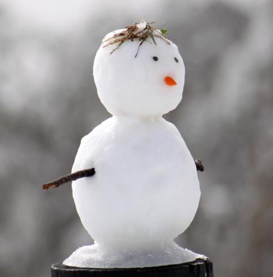 Chalet Apartments   Mt Buller Apartment Rentals