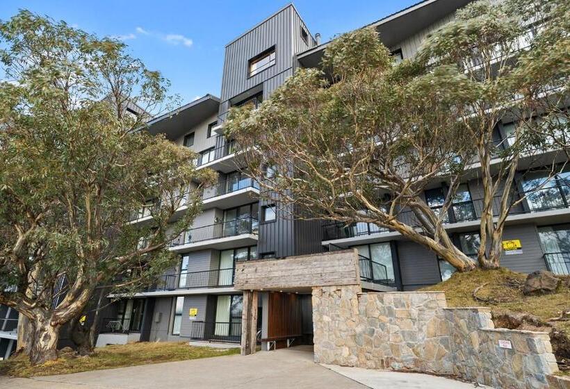 Chalet Apartments   Mt Buller Apartment Rentals