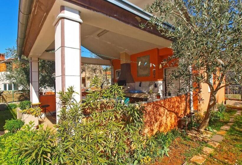 Apartments Petar 1306