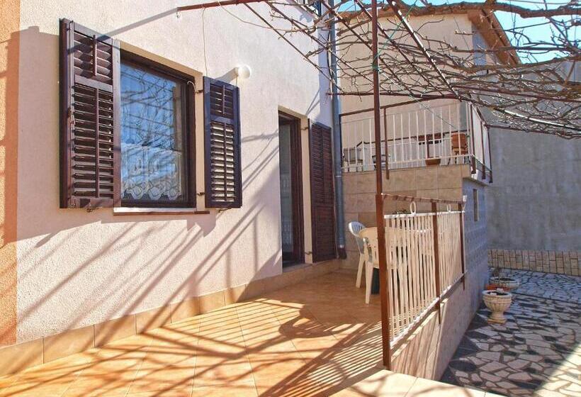Apartments Petar 1306