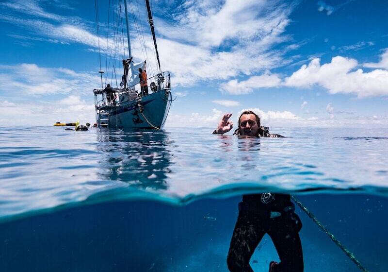 Hotel Coral Sea Dreaming Dive And Sail