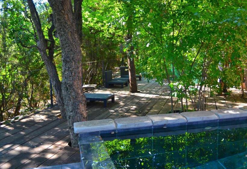 پانسیون Maison De La Vigne