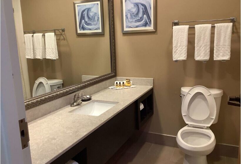 فندق Best Western Plus Madison
