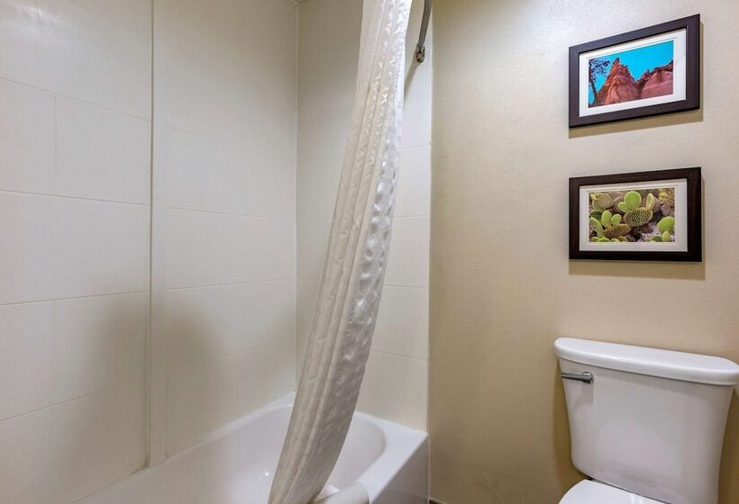 فندق Wingate By Wyndham Los Alamos