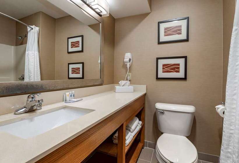 호텔 Comfort Inn & Suites Napoleon