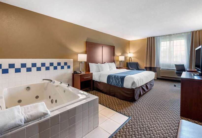 호텔 Comfort Inn & Suites Napoleon