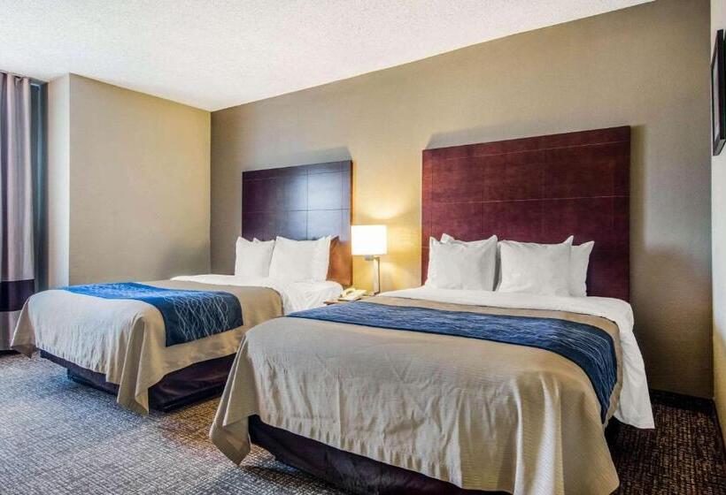 ホテル Comfort Inn Atlanta Downtown South