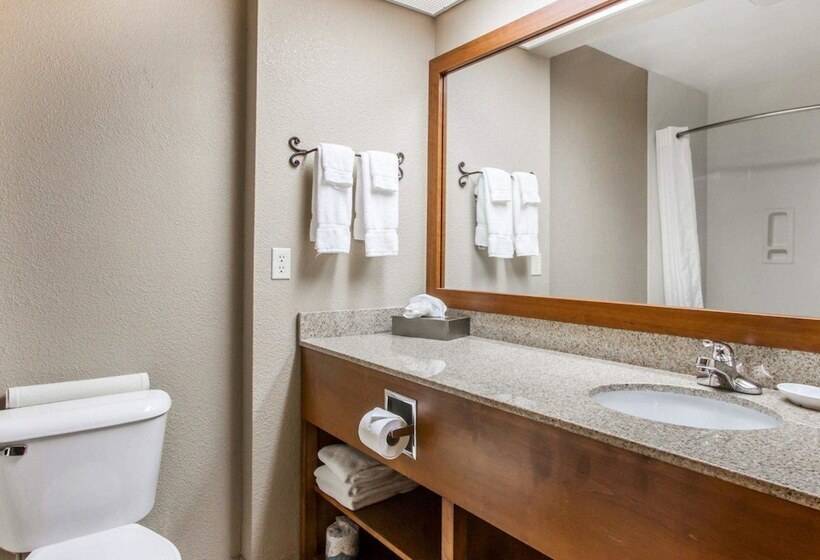 בית מלון כפרי Comfort Inn Benson Near Kartchner Caverns